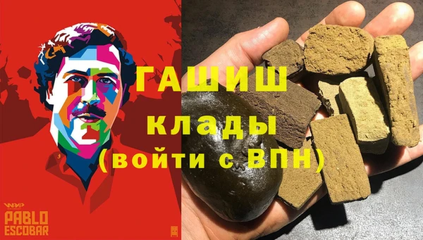 ECSTASY Алзамай