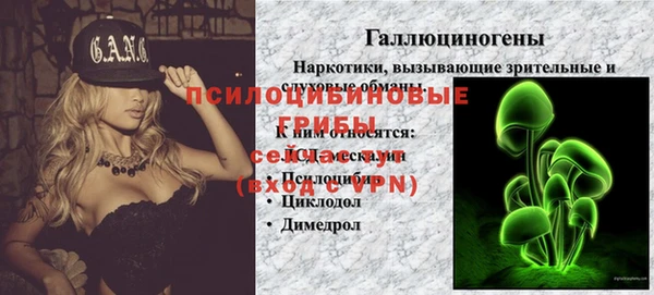 a pvp Алексеевка