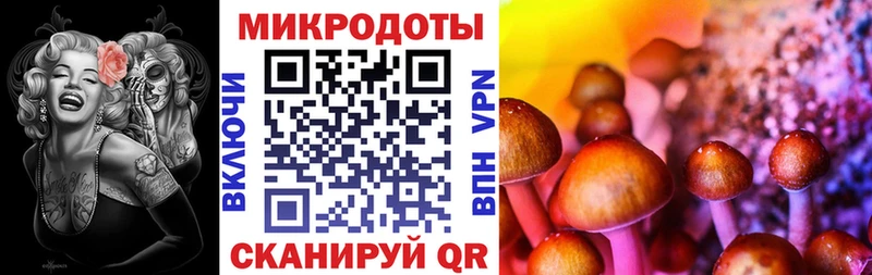 Галлюциногенные грибы GOLDEN TEACHER Заволжск